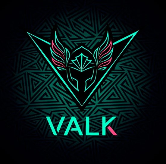 Valk Gaming